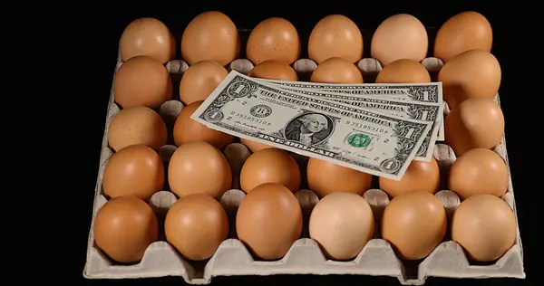 Dollars Bank Notes falling of Chicken Eggs