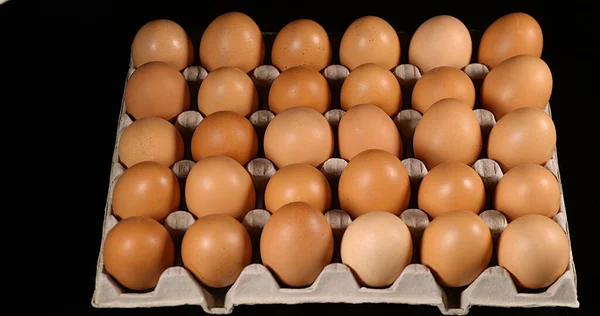 Kycklingägg Mot Svart Bakgrund — Stockfoto