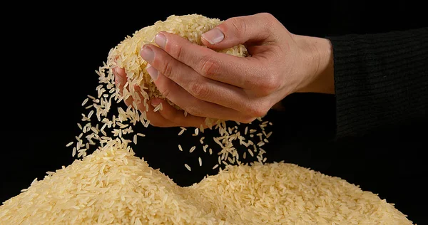 Hand Woman Rice Black Background — Stock Photo, Image
