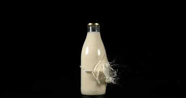 Bottle of Milk Exploding against Black Background