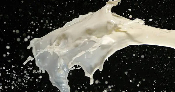 Exploding Milk Black Background — Stock Photo, Image