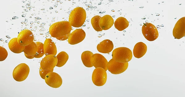 Kumquat Fortunella Margarita Fruits Falling Water White Background — Stock Photo, Image