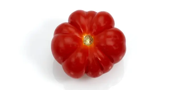 Camone Tomaten Solanum Lycopersicum Groente Tegen Witte Achtergrond — Stockfoto