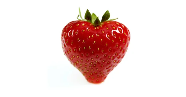 Strawberries Fragaria Vesca Fruits White Background — Stock Photo, Image