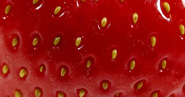 Strawberries Fragaria Vesca Fruits White Background — Stock Photo, Image
