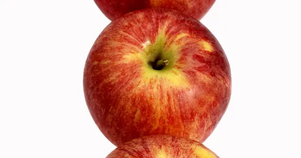 Royal Gala Apple Malus Domestica Meyveler Beyaz Arkaplan Karşı — Stok fotoğraf