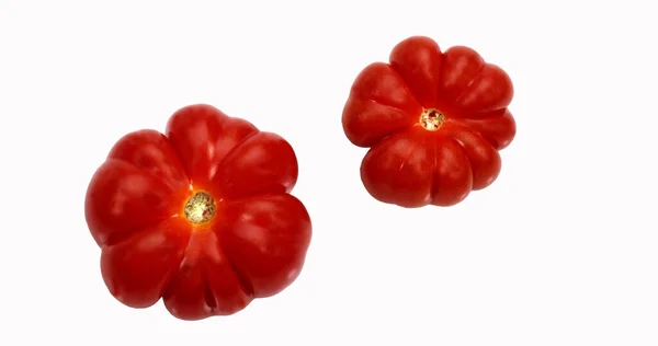 Camone Tomatoes Solanum Lycopersicum Vegetable White Background — стокове фото