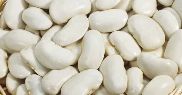 Ranskalaiset Pavut Nimeltään Soissons Beans Phaseolus Vulgaris Vastaan Valkoinen Tausta — kuvapankkivalokuva