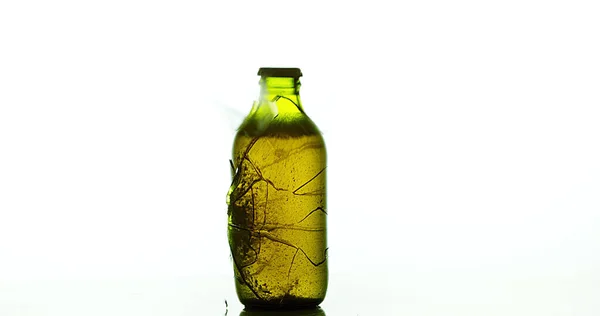 Botella Cerveza Rompiendo Salpicando Contra Fondo Blanco — Foto de Stock
