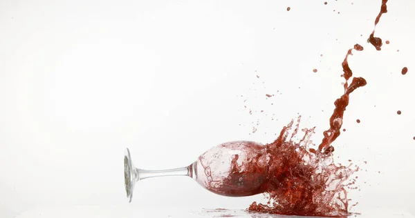 Bir Kadeh Kırmızı Şarap Düşüyor Beyaz Arkaplan Sıçrıyor — Stok fotoğraf