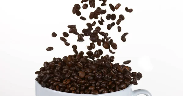 Coffee Beans Falling Cup White Background — Stock Photo, Image