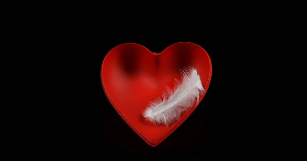 Rotes Herz Und Feder Zum Valentinstag — Stockfoto