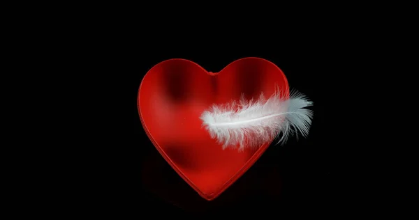 Corazón Rojo Pluma Para Día San Valentín —  Fotos de Stock