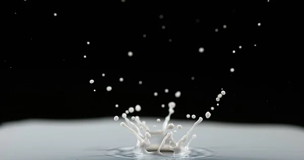 Drop Milk Falling Чёрном Фоне — стоковое фото