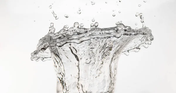 Spurting Água Para Fora Encontro Fundo Branco — Fotografia de Stock