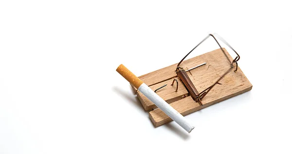 Mousetrap Quebrando Cigarro Contra Fundo Branco — Fotografia de Stock