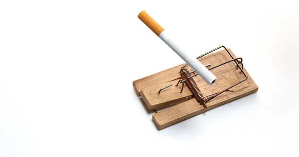 Mousetrap Quebrando Cigarro Contra Fundo Branco — Fotografia de Stock