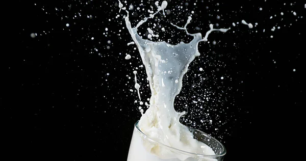 Exploderande Mjölk Mot Svart Bakgrund — Stockfoto