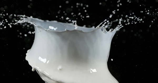 Взрывающееся Молоко Чёрном Фоне — стоковое фото