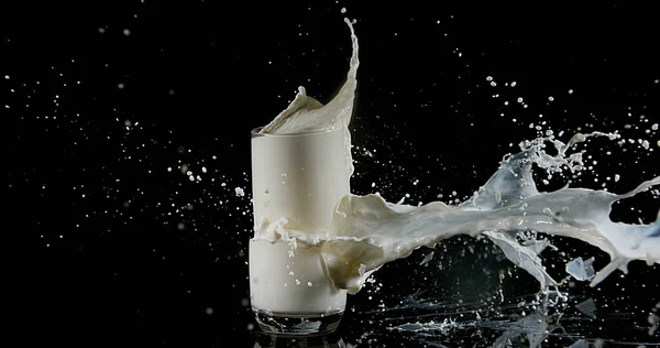 Glas Melk Exploderende Tegen Witte Achtergrond — Stockfoto