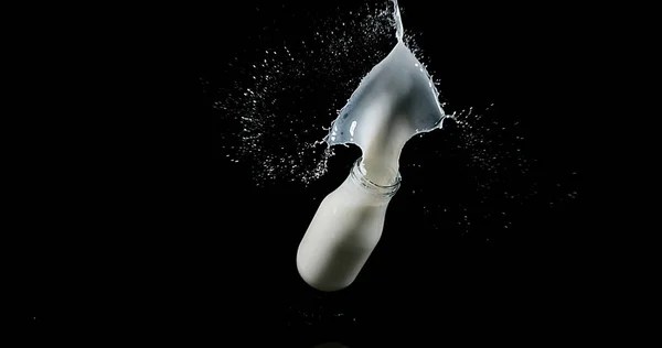 Milchflasche Fällt Und Explodiert Vor Schwarzem Hintergrund — Stockfoto
