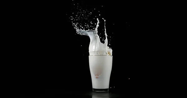 Glas Melk Exploderende Tegen Witte Achtergrond — Stockfoto