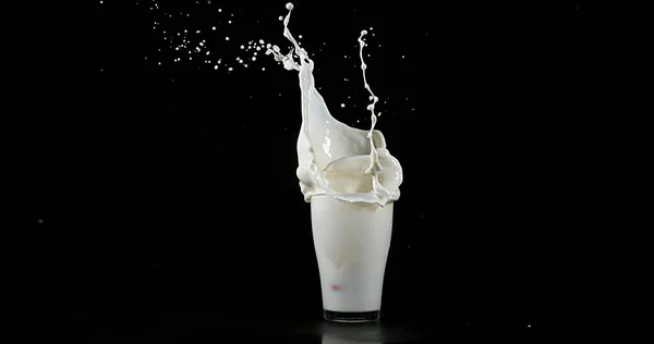 Стакан Молока Взрывается Белом Фоне — стоковое фото