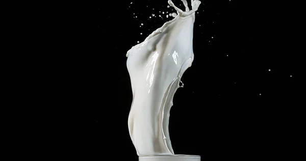 Стакан Молока Взрывается Белом Фоне — стоковое фото