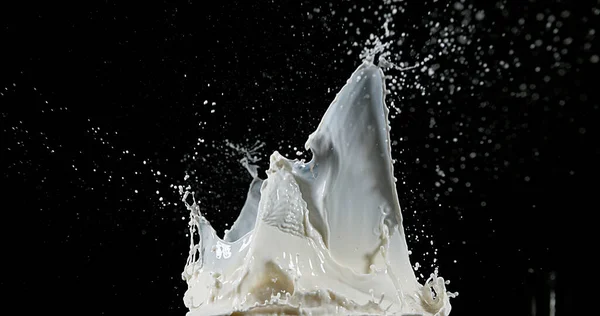 Exploding Milk Black Background — Stock Photo, Image