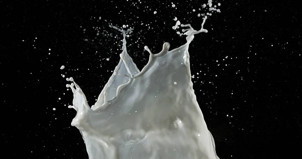 Exploding Milk Black Background — Stock Photo, Image