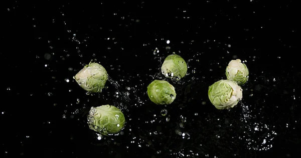 Rosenkohl Brassica Oleracea Gemüse Das Vor Schwarzem Hintergrund Ins Wasser — Stockfoto