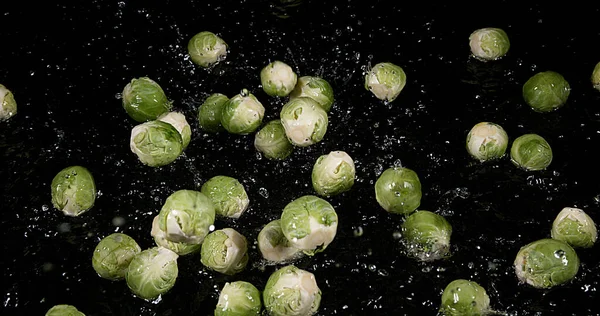 Bruselas Brotes Brassica Oleracea Verduras Cayendo Agua Contra Fondo Negro —  Fotos de Stock