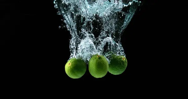 Limones Verdes Cítricos Aurantifolia Frutas Que Caen Agua Contra Fondo —  Fotos de Stock