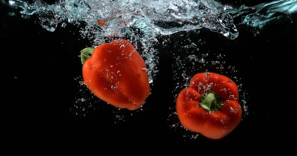 Röd Paprika Capsicum Annuum Vegetabiliska Faller Vatten Mot Svart Bakgrund — Stockfoto