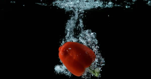 Rote Paprika Paprika Annuum Gemüse Das Vor Schwarzem Hintergrund Ins — Stockfoto