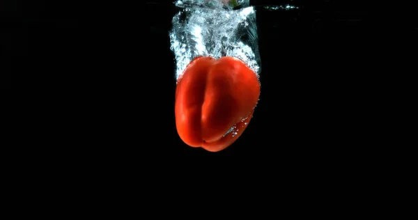 Red Sweet Pepper Capsicum Annum Sebze Kara Arkaplan Karşı Suya — Stok fotoğraf