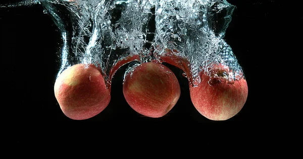 Яблоки Malus Domestica Фрукты Входящие Воду Черном Фоне — стоковое фото