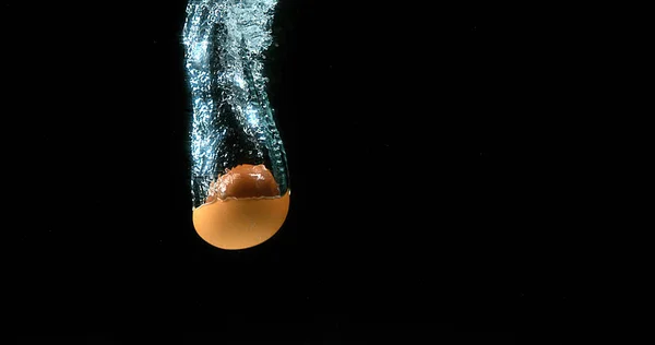 Huevos Pollo Entrando Agua Contra Fondo Negro — Foto de Stock