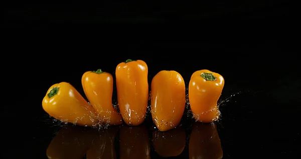 Yellow Sweet Peppers Capsicum Annuum Vegetable Falling Water Black Background — Stock Photo, Image