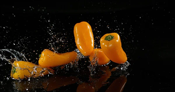 Yellow Sweet Peppers Capsicum Annuum Vegetable Falling Water Black Background — Stock Photo, Image