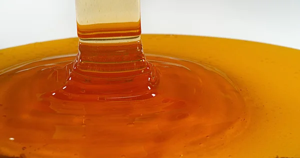 Honey Flowing White Background — Stock Photo, Image