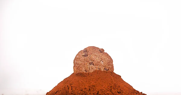 Cookie Cayendo Chocolate Polvo Negro — Foto de Stock