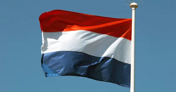 Die Flagge Der Niederlande Weht Wind Gegen Den Blauen Himmel — Stockfoto