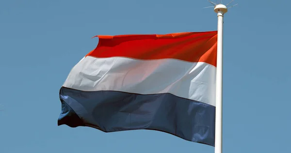 Hollanda Bayrağı Mavi Gökyüzüne Karşı Rüzgarda Dalgalanıyor — Stok fotoğraf