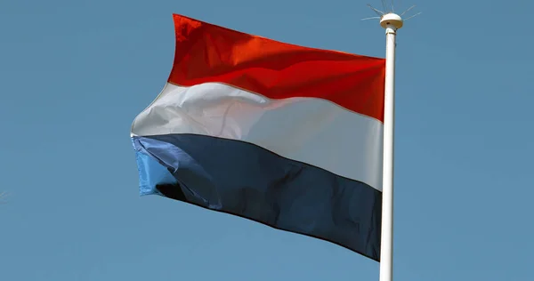 Nederländska Flaggan Vifta Vinden Mot Blå Himmel — Stockfoto