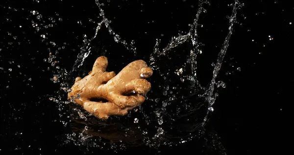 Ginger Zingiber Memurları Kök Kara Arkaplanda Suya Düşüyor — Stok fotoğraf