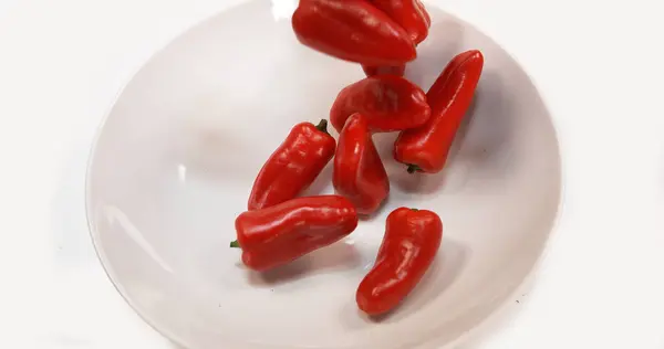 Paprika Paprika Annuum Fällt Vor Weißem Hintergrund — Stockfoto