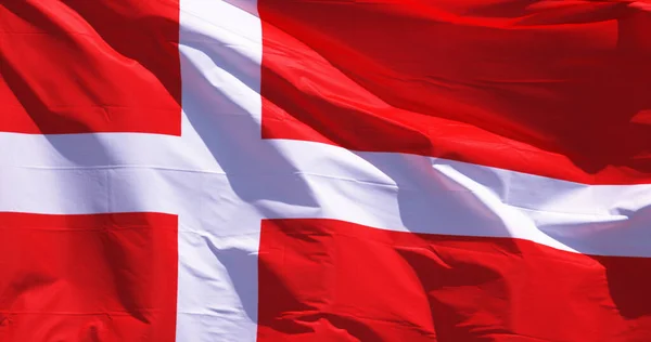 丹麦国旗在风中挥舞着 — 图库照片