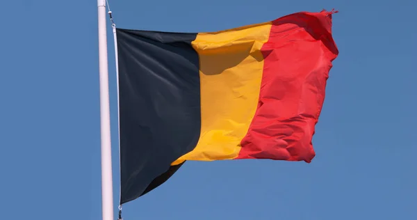 Бельгийский Флаг Размахивающий Ветру Против Голубого Неба — стоковое фото