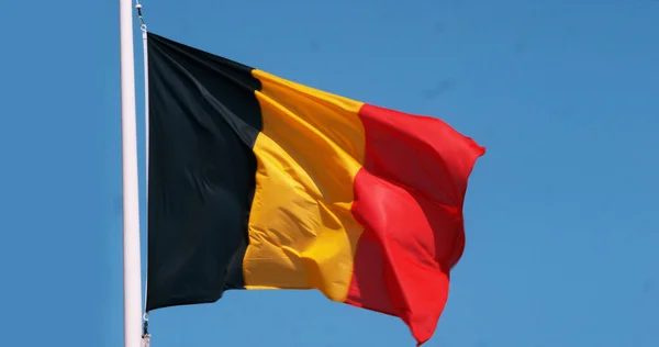 Belgian Flag Waving Wind Blue Sky — Stock Photo, Image